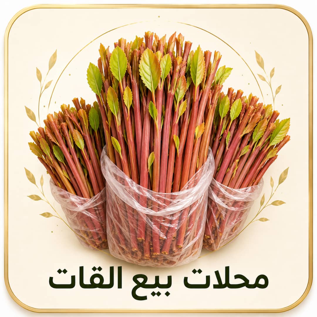 محلات القات